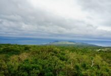 歡慶雙十節 13國家森林遊樂區3天連假入園半票