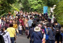 Lễ Quốc khánh các địa điểm thắng cảnh khu vực Đài Bắc đông nghịt du khách, Sở thú và cáp treo Maokong bật cảnh báo màu cam