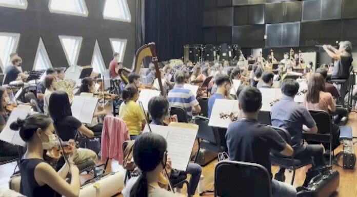 VIDEO: National Day orchestra features music for all generations