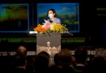 國慶光雕點燈 蔡總統邀民眾共賞台灣文藝經典作品