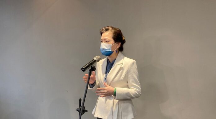 國慶晚會無人機中國製? 王美花:跨部會今將調查