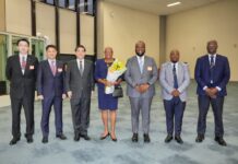 Иностранные гости съезжаются на праздник «Двух десяток»